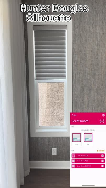 Hunter Douglas Silhouette  by PowerView